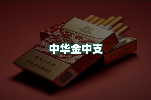 中华金中支
